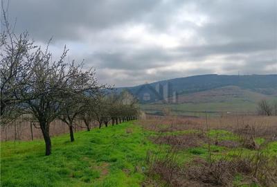 Teren în Dorobanț - 7