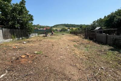 Spațiu comercial, în Curtișoara - 1