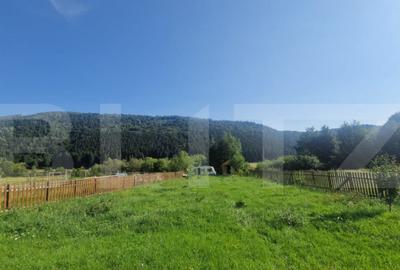 Teren Plaiul Foii, vedere spre muntii Bucegi si apa Barsa 10 - 5