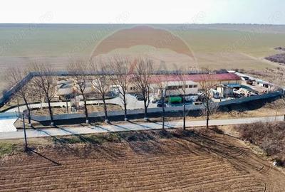 Crama din Buciumeni Afacere la cheie - 11