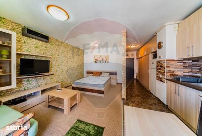 Garsonieră în Funcționarilor - 7