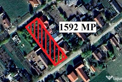 Teren de 1592 mp, în Satu Mare - 1