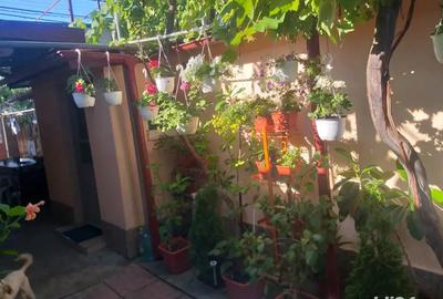 Vand casa 480 mp - 4