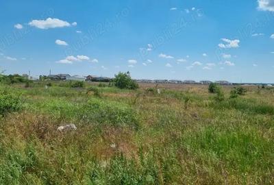 Teren de 20000 mp, în Valea Rumâneștilor - 6