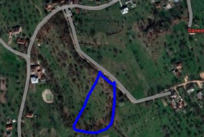 Spațiu comercial, în Dănești - 2