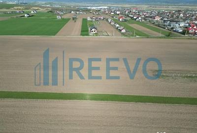 Teren de 10500 mp, în Nicolae Bălcescu - 5