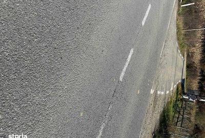 Teren de 33000 mp, în Coșbuc - 1