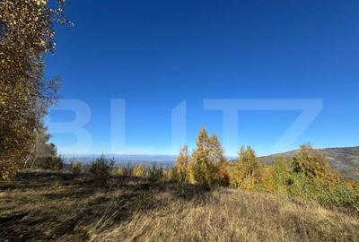 Teren extravilan de 18.769 mp in Tarsa - 1