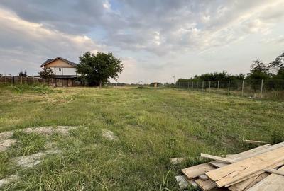 Teren de 700 mp, în Vadu Anei - 6