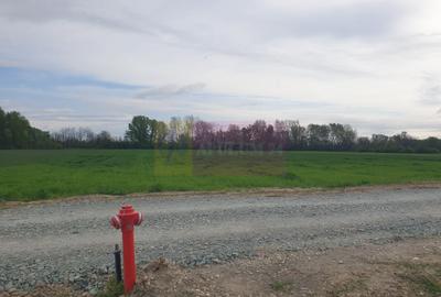 Teren în Măgurele - 8