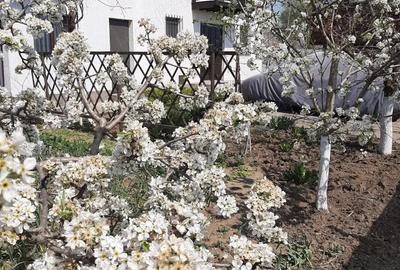 Casă în Gruiu - 2