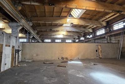 Spațiu comercial, de 600 mp, în Industriilor - 3