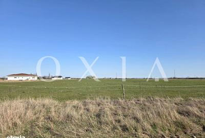 Spațiu comercial, în Giroc - 3