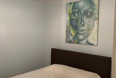 Apartament 2 cam. de inchiriat, vila noua, zona Piata Unirii - 6