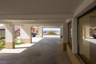 Apartament deosebit, spatios, in padure si central - 10