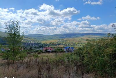 Teren de 4000 mp, în Tomești - 1