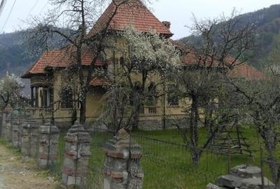 Vând Conac - jud. Argeș - 8