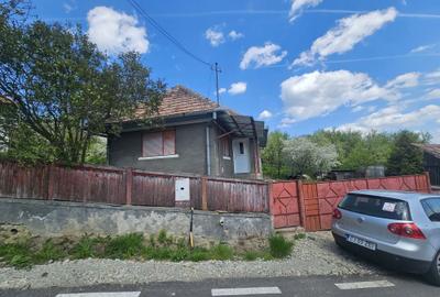 Casă cu 2 camere cu Teren 4000 Mp în Central - 7
