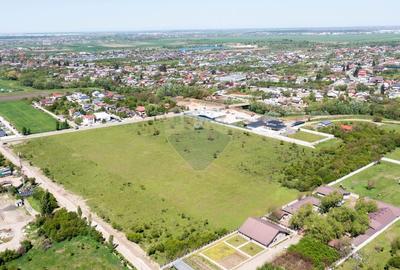 Teren agricol intravilan de 10000 mp, în Domnești - 3
