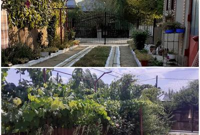 Vand casa sau schimb cu garsoniera etc.1 sau 2 - 2