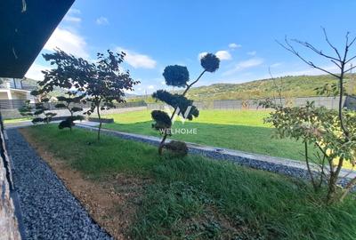 Casa cu piscina interioara si proveliste catre CETATE - 27