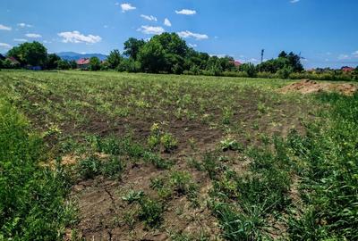 Teren intravilan in Stupini aproape de Centrul Cartierului 856 mp - 4