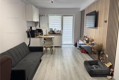 Apartament 2 cam tip studio Sanpetru Brasov - 8