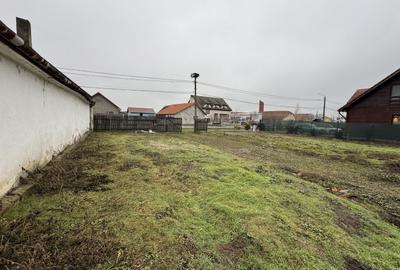 Teren Intravilan Becicherecu Mic 750mp,Utilitatile In Fata Parcelei,Asflat - 5