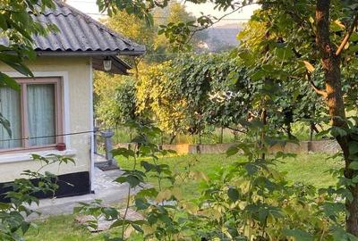 Casă cu 3 camere cu Teren 1861 Mp în Remeți - 4