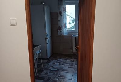 Iancului , Pantelimon stradal - 16