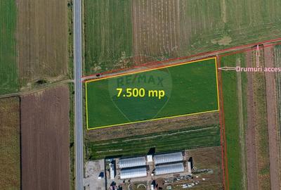Teren 7,500mp Tarlungeni / Strada Zizinului - 10