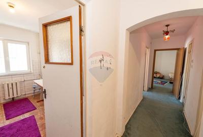 Apartament decomandat cu 2 camere de vanzare in zona Titan Salajan - 13