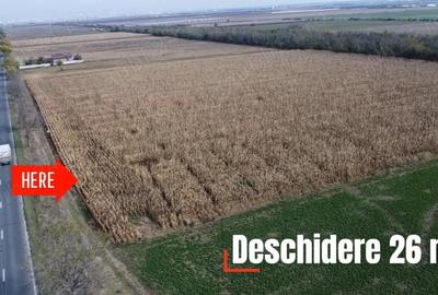 Comision 0! Teren 6400mp, foarte aproape de de autostrada Comision 0! Teren 6400mp, foarte aproape de de autostrada - 2