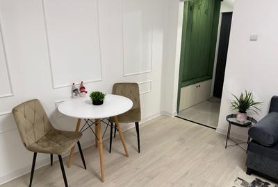 Apartament 2 camere Mobilat Berceni Straja Huedin - 13