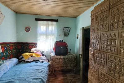 Casă cu 3 camere în Dridu - 1