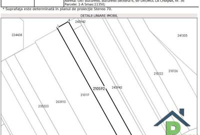 Teren Drum la Chiajna, sector 6, 11.350 mp, D 33 ml - 5