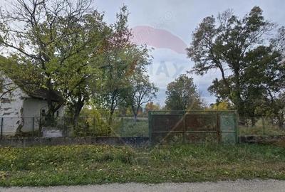 Teren generos cu potential in comuna Silindia, judetul Arad - 9