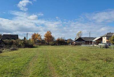 Chechis, 27 ari teren intrav. - 3