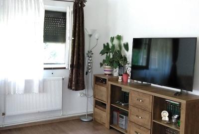 Casă în Ciocănăi - 1