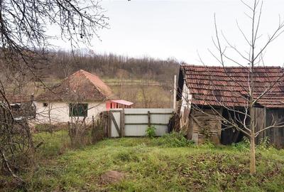 RECO Casa de vacanta la Holod- langa padure- teren 2190mp - 10