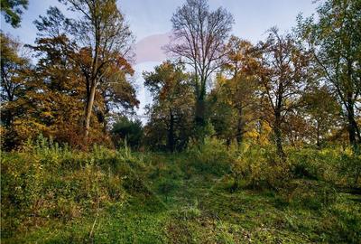 Domeniu Baronial de vanzare in localitatea CIL , Judet Arad - 3