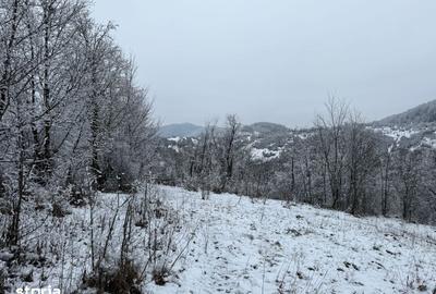 Teren de 3824 mp, în Provița de Jos - 6