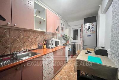 Garsoniera decomandata de vanzare, Cetate Garsoniera decomandata de vanzare, Cetate - 3