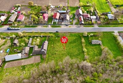Teren Construcții intravilan de 10000 mp, în Roșiori - 5