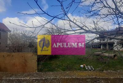 Teren de 2950 mp, în Alexandriei - 21