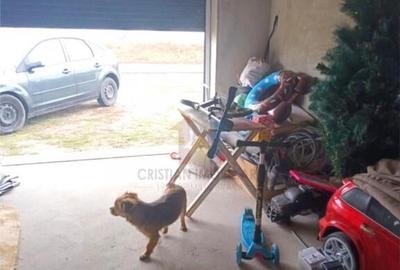 VILA P M, Cazasu, caramida, Teren - 500 mp - 2