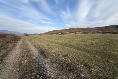 Spațiu comercial, în Unirea - 4