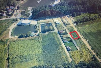 Teren de 559 mp, în Est - 6