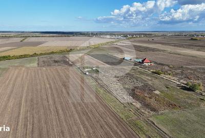 Spațiu comercial, în Cocani - 4