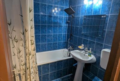 Prelungirea Ghencea capat tramvai 41- Titel Petrescu - 26